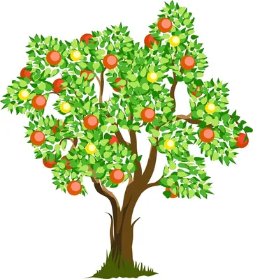 Золотая яблоня иллюстрация вектора. иллюстрации насчитывающей ферма -  183561768