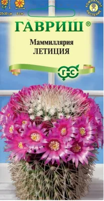 Семена георгин Русский огород Кактус микс 702541 1 уп. - характеристики и  описание на Мегамаркет