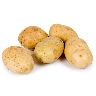 Картофель белый свежий в магазине Ураешка