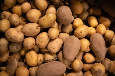 Декларация на картофель, получить декларацию соответствия на картофель -  ros-test.info