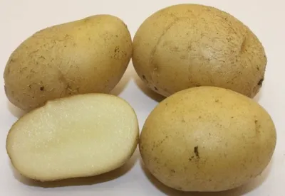 🌱 Картофель Семенной Ариэль по цене от 430 руб: картофель - купить в  Москве с доставкой - интернет-магазин Все Сорта
