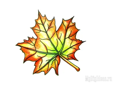 Раскраска Кленовый лист | Раскраски листья для детей распечатать, скачать