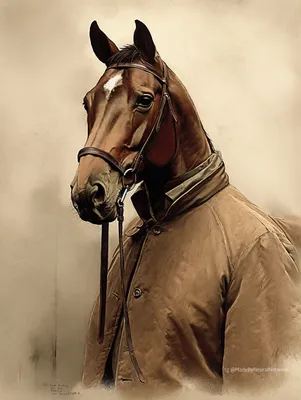 Конь в пальто… | PulsON — все самые интересные события в мире.