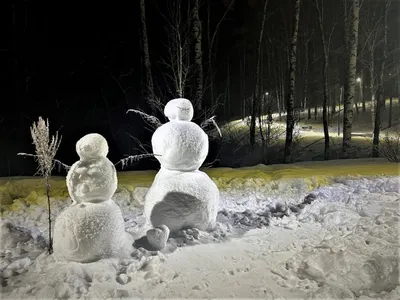 Красота зимы в наукограде: примите участие в новогодней фотовыставке |  Наукоград-Пресс