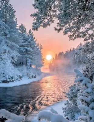 Красота зимы (40 фото)