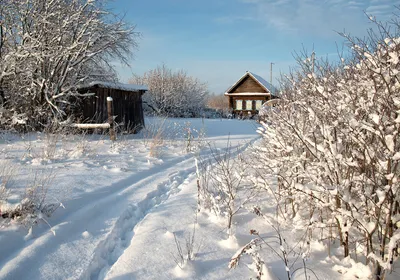 Сказочная красота зимы на прекрасных фотографиях - Zefirka