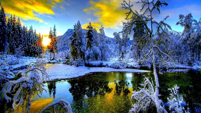 Красивый рисунок красота зимы