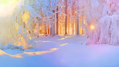 Красота зимой (54 фото) - 54 фото