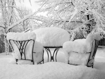 В наших краях зима без серого снега, у нас только белоснежная красота.  Фотографии Вятской зимы | Люблю жизнь и фотографирую | Дзен