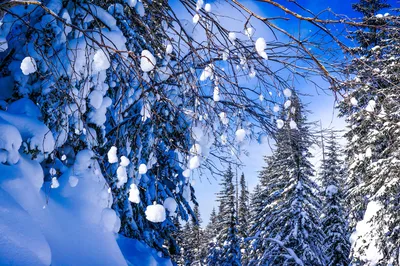 Что нужно для Вашей красоты зимой? | статьи | салоны красоты SPATIME в  Минске