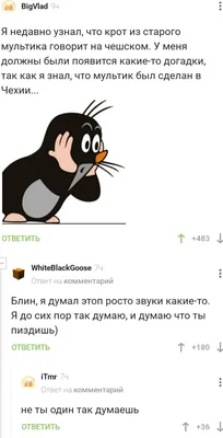 Во Владимире появилось новое граффити от Мишкина – крот, прячущий на зиму  краски