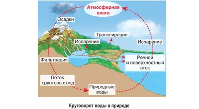 Круговорот воды в природе. | Шишкин Лес | Дзен