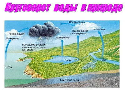 Картинки водоворот воды в природе (68 фото) » Картинки и статусы про  окружающий мир вокруг