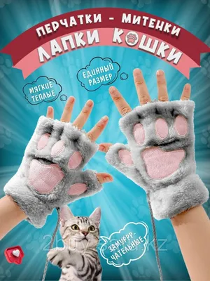 Мягкие лапки: ветврачам хотят запретить удалять когти у кошек - «Экология  России»