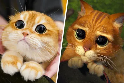 Карнавальный набор аниме ободок ушки кошки перчатки лапки и хвост — купить  в интернет-магазине по низкой цене на Яндекс Маркете