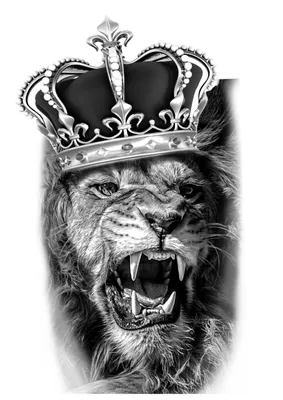 Лев с короной эскиз - 71 фото