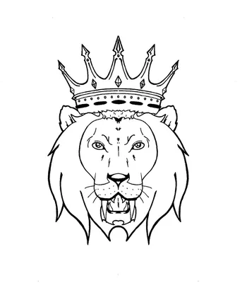 Набор Heraldry Льва С Короной — стоковая векторная графика и другие  изображения на тему Лев - Лев, Герб, Символика - iStock