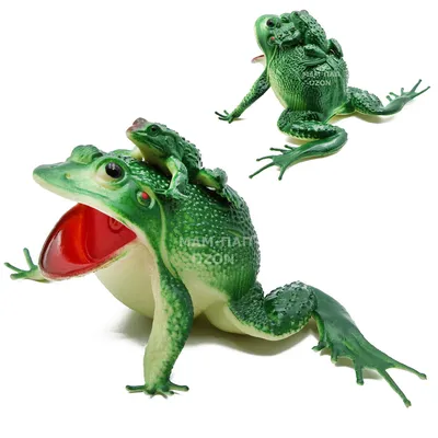 Маленькая зеленая лягушка, ностальгические прыгающие заводные лягушки,  интересные прыгающие маленькие лягушки для фотографий, сувениры на день  рождения | AliExpress