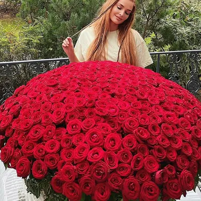 Миллион алых роз: о стоимости дорогого подарка рассказал опытный флорист в  Алматы
