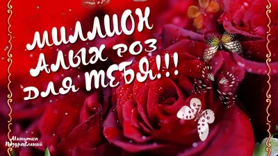 Миллион алых роз, Цветы и подарки в Чишмах, купить по цене 22820 RUB,  Монобукеты в ПЕРВЫЙ ЦВЕТОЧНЫЙ с доставкой | Flowwow