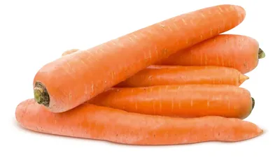 Купить семена Морковь Шантанэ Ред Кор — от НПО Сады Росcии