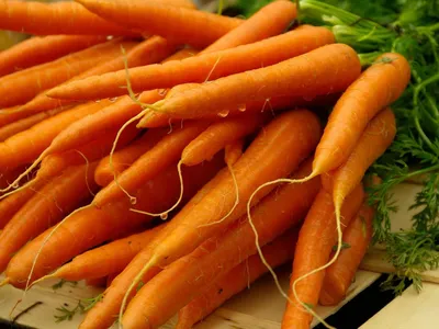 Морковь мытая - купить с доставкой в Москве в Перекрёстке