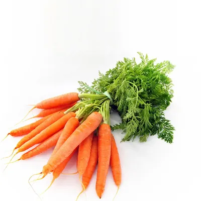 Морковь Тепличный 1кг *Социальный товар купить за 89 руб. с доставкой на  дом в интернет-магазине «Palladi» в Южно-Сахалинске