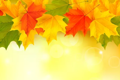 Идеи на тему «Осень» (130) | осень, осенние картинки, осенний пейзаж