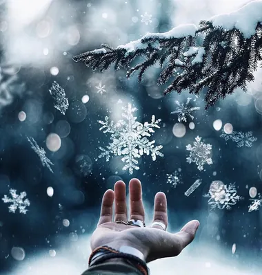 Картинки снег на аву (66 фото) » Картинки и статусы про окружающий мир  вокруг
