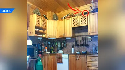 Хозяйка сфотографировала кота, который спрятался на кухне