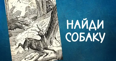 Найти собаку Молодой дальматик, сидящий на камуфляжном фоном диване  Стоковое Фото - изображение насчитывающей контраст, собач: 157897158