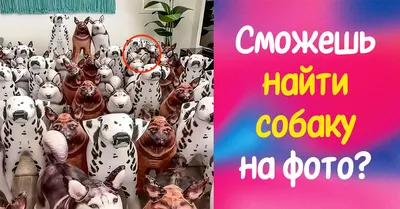 Детская головоломка удивила взрослых — они не видят здесь собаку - Питомцы  Mail.ru