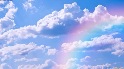 картинки : Солнечный лучик, атмосфера, дневное время, Кучевые облака,  Синий, Небеса, Цены расширенных лицензий, Перистые облака, Небо облаков,  Голубое небо облака, Метеорологическое явление, Атмосфера земли 3840x2160 -  - 1044810 - красивые картинки ...