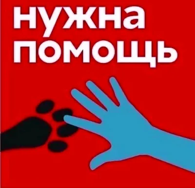 Официальный сайт Администрации Улётовского района | Срочно нужна помощь!!!