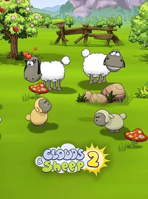 Карликовая овца – Weekend