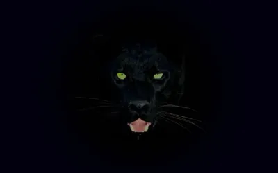 Черная пантера в малиновых пионах с…» — создано в Шедевруме