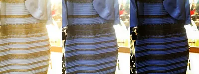 Феномен синего или белого платья: почему на знаменитом фото люди видели  разные цвета - Русская семерка