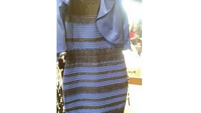 Белое или голубое?\": еще одно платье непонятного цвета взорвало Сеть —  22.01.2021 — В мире на РЕН ТВ