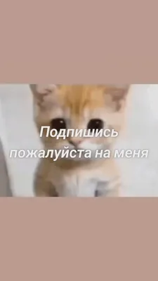 Подпишись на instagram и получи скидку!