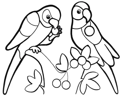 Раскраски животные попугай (66 фото) » Картинки, раскраски и трафареты для  всех - Klev.CLUB