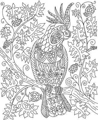 Раскраска Легкий попугай - скачать и распечатать в формате А4
