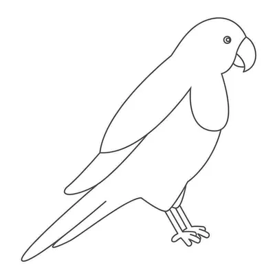 Рисунок черно белый попугай - 71 фото