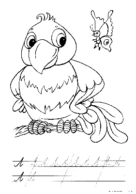 Раскраска Попугай | Раскраски животных в прописи. Готовимся к школе