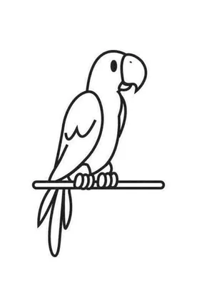 Раскраска № 3877 - Попугай скачай или рисуй на сайте 8o8.ru