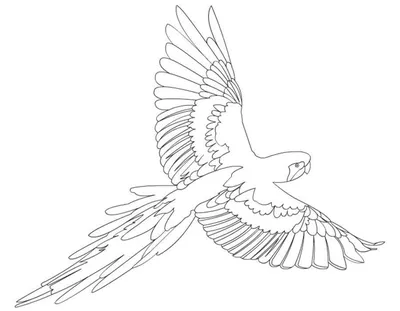 Набор для творчества «Раскраска глитерными блёстками по номерам» Попугай  купить в Чите Раскраски в интернет-магазине Чита.дети (9645533)