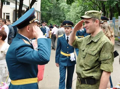 Картинка Приветствие фотографии