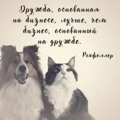 Пригласите друга в Альфу — получите бонусы - Альфа Банк ⇨ подробнее ☎198