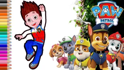 Набор Райдер и 6 героев Щенячий патруль (Paw patrol) - Набор Щенячий Патруль  купить СПб | Интернет-магазин детских игрушек по выгодным ценам Bimkid.ru