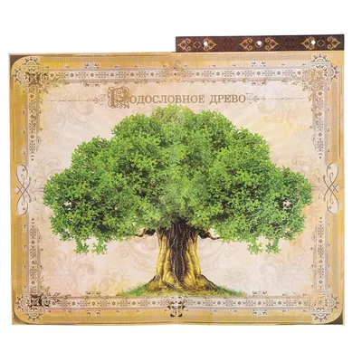 Постер с изображением семейного дерева, красивые креативные поколения,  постеры с изображением семейного дерева, надёжный декор для рукописного  письма, семейное дерево | AliExpress