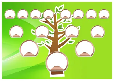 Поколение фамильного дерев дерева, родословное дерево с местом фото  Иллюстрация вектора - иллюстрации насчитывающей листья, братства: 139757709